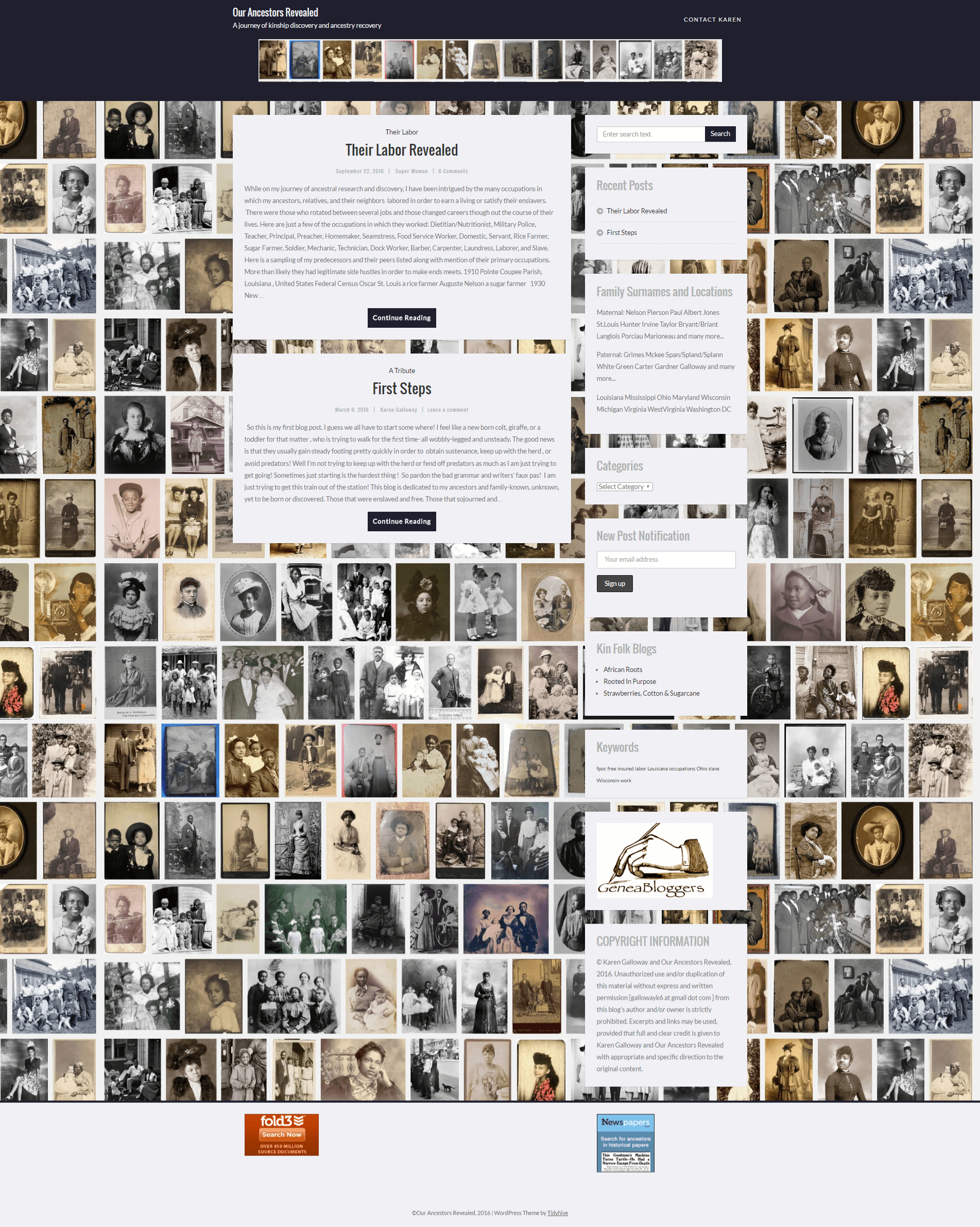 Our Ancestors Revealed Blog Site